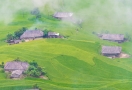 Rizière en terrasses à Hoàng Su Phì Ha Giang