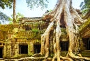 Ta Prohm temples, Cambodge