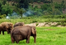 Mondolkiri Cambodge