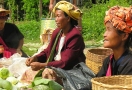 Kalaw (Birmanie)