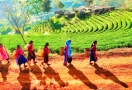 Collines de thé à Chiang Rai