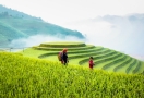 Mu Cang Chai (ses extraordinaires rizières en terrasses)