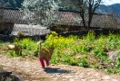 Dong Van - Ha Giang