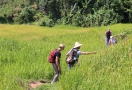 Randonnée dans la vallée de Mai Chau