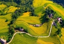 Randonnée à Sapa Vietnam