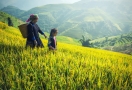 Randonnée à Sapa Vietnam
