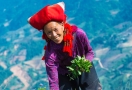 Ethnie Red Dzao à Sapa