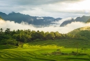 Pu Luong Réserve Naturelle du Vietnam