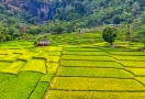 Vallée de Mai Chau