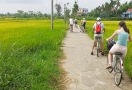 Balade à vélo (Écotour à Hoi An)