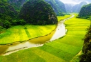 Croisière en barque à Thung Nham (Ninh Binh)