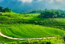 Pu Luong Réserve Naturelle du Vietnam