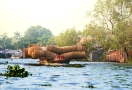 Ben Tre (Mékong)