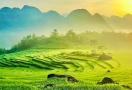 Pu Luong Réserve Naturelle du Vietnam