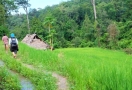 Randonnée à Mae Sapok