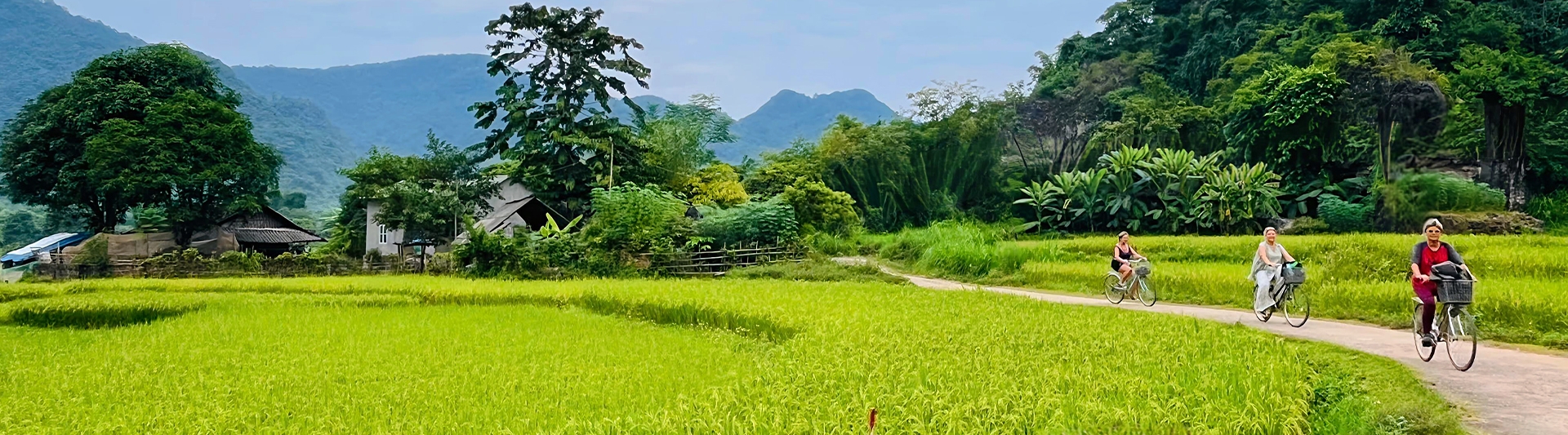 15 jours au Vietnam