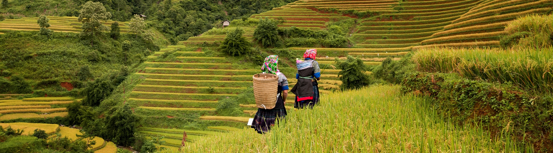 Sapa Guide de voyage