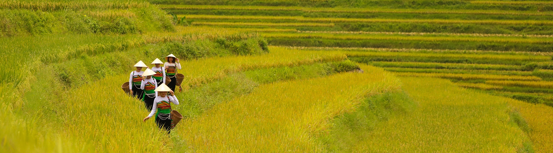 Expérience des voyageurs à Pu Luong