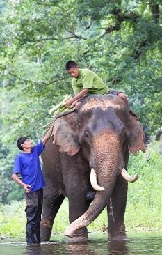 Thaïlande Guide de voyage