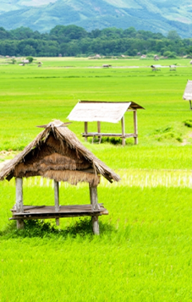 Luang Namtha