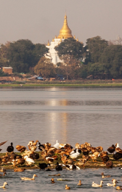 Amarapura