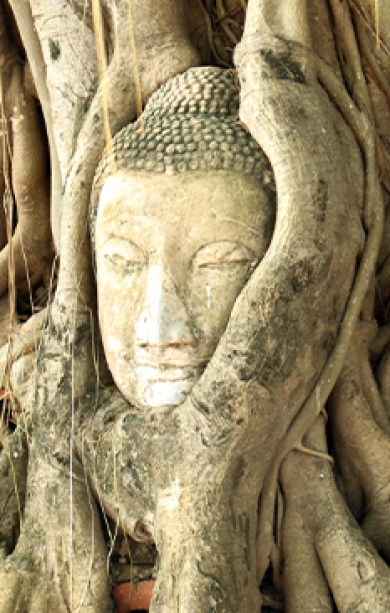 Ayutthaya