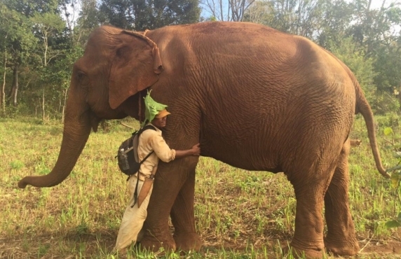 Que Faire Au Cambodge ? Top 10 Meilleures Choses à Faire à Mondulkiri Que Faire Au Cambodge ? Top 10 Meilleures Choses à Faire à Mondulkiri