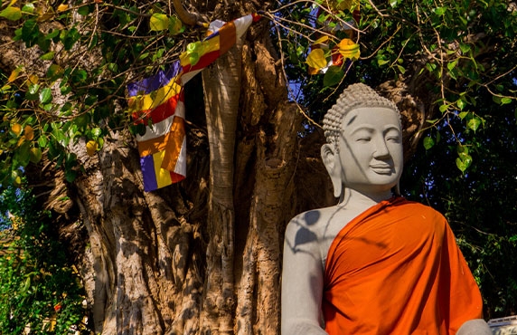 Que Faire à Phnom Penh En 1 Jour ? Avis Sur La Visite De La Ville Avec Mme Mabel Que Faire à Phnom Penh En 1 Jour ? Avis Sur La Visite De La Ville Avec Mme Mabel