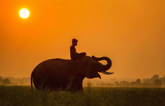 Que Faire à Siem Reap? Les 10 Meilleures Choses à Faire Et à Voir à Siem Reap, Au Cambodge Que Faire à Siem Reap? Les 10 Meilleures Choses à Faire Et à Voir à Siem Reap, Au Cambodge