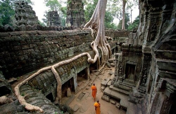 Que Faire Au Cambodge? Visiter Le Temple De Ta Prohm Dans Le Complexe D'Angkor Que Faire Au Cambodge? Visiter Le Temple De Ta Prohm Dans Le Complexe D'Angkor