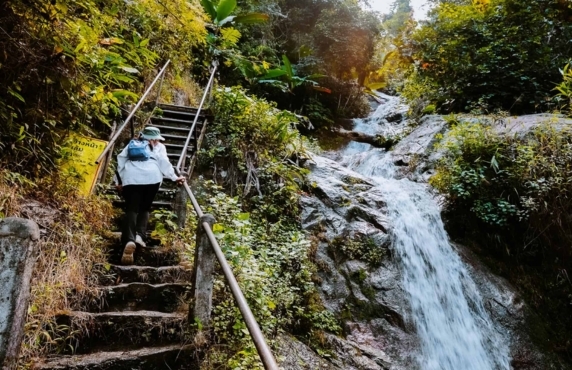 Que Faire à Chiang Mai? Découverte La Cascade De Mae Kampong Que Faire à Chiang Mai? Découverte La Cascade De Mae Kampong