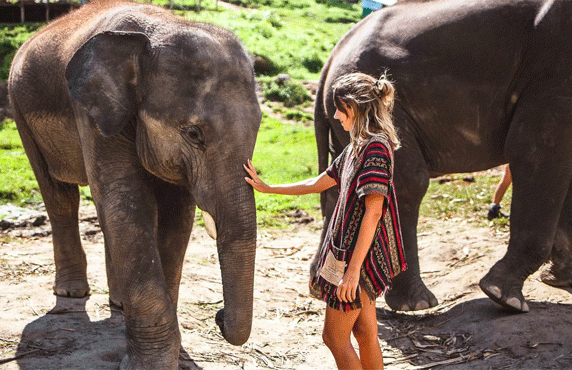 Que Faire à Chiang Mai? Top 7 Choses à Faire, Activités à Faire à Chiang Mai Que Faire à Chiang Mai? Top 7 Choses à Faire, Activités à Faire à Chiang Mai
