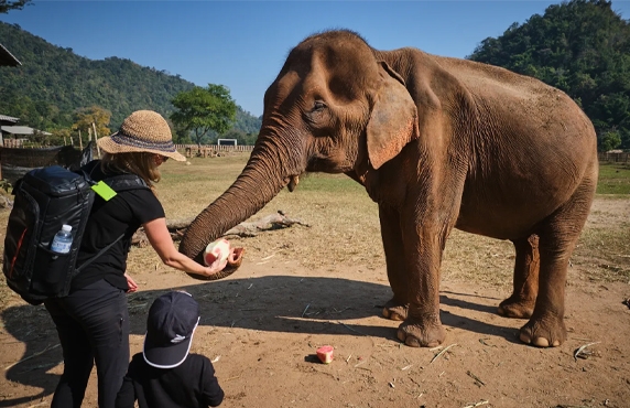 Que Faire à Chiang Rai En Famille? Activités à Chiang Rai Avec Des Enfants Que Faire à Chiang Rai En Famille? Activités à Chiang Rai Avec Des Enfants