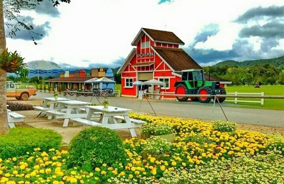 Parc Singha à Chiang Rai: Un Parc à Ne Pas Manquer Pour Votre Voyage Parc Singha à Chiang Rai: Un Parc à Ne Pas Manquer Pour Votre Voyage