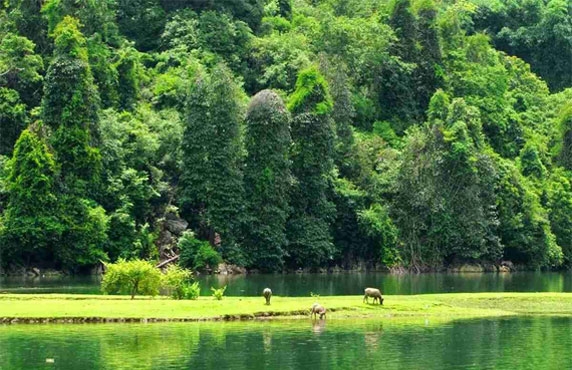 Prenez Un Voyage Pour Visiter Le Parc National De Ba Be Prenez Un Voyage Pour Visiter Le Parc National De Ba Be
