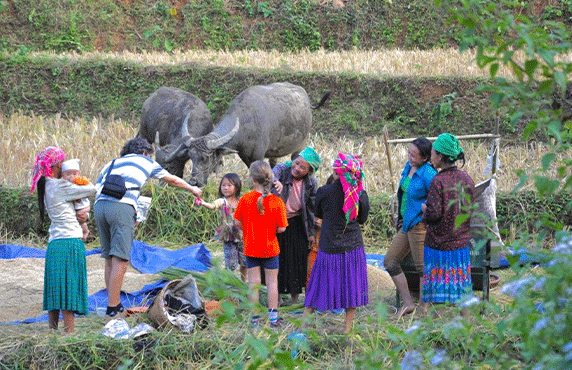 Top 09 Meilleurs Choses à Faire Au Lac Ba Be, Vietnam Top 09 Meilleurs Choses à Faire Au Lac Ba Be, Vietnam