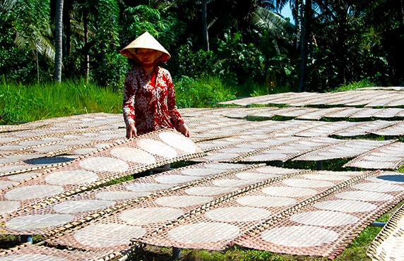 Que Faire à Ben Tre ? Visiter Le Village D'artisanat Du Papier De Riz De My Long à Ben Tre, Vietnam Que Faire à Ben Tre ? Visiter Le Village D'artisanat Du Papier De Riz De My Long à Ben Tre, Vietnam