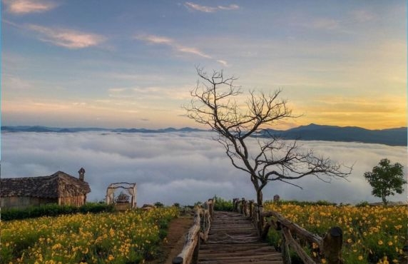 Jugement De 2 Semaines Aux Hauts Plateaux Du Centre Sud Vietnam Par Garo Jugement De 2 Semaines Aux Hauts Plateaux Du Centre Sud Vietnam Par Garo