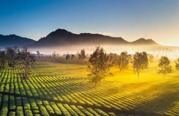 Avis De 5 Jours Aux Hauts Plateaux Du Centre Vietnam Par M. Hamid Avis De 5 Jours Aux Hauts Plateaux Du Centre Vietnam Par M. Hamid
