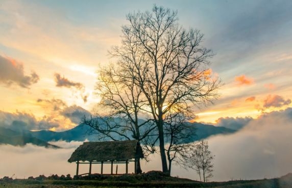 Que Faire à Y Ty Sapa ? Visiter Le Paradis Naturel Au Nord Du Vietnam Que Faire à Y Ty Sapa ? Visiter Le Paradis Naturel Au Nord Du Vietnam