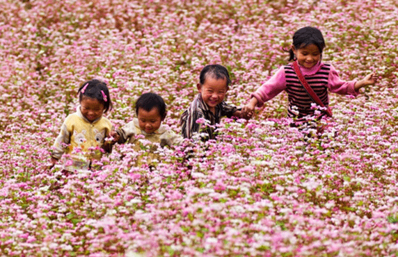 Ha Giang Viet Nam: Top 13 Sites Incontournables à Visiter Ha Giang Viet Nam: Top 13 Sites Incontournables à Visiter
