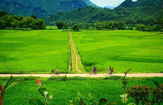 Avis D’une Semaine à Mai Chau Pu Luong Tam Coc Halong Par Mr. Kelly Avis D’une Semaine à Mai Chau Pu Luong Tam Coc Halong Par Mr. Kelly