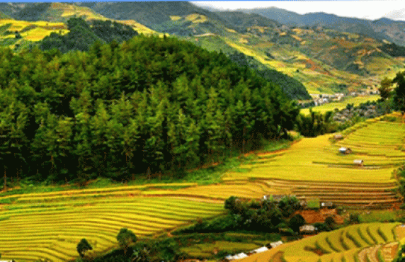 Que Faire à Mai Chau, Vietnam: Les 12 Sites Incontournables à Visiter Que Faire à Mai Chau, Vietnam: Les 12 Sites Incontournables à Visiter