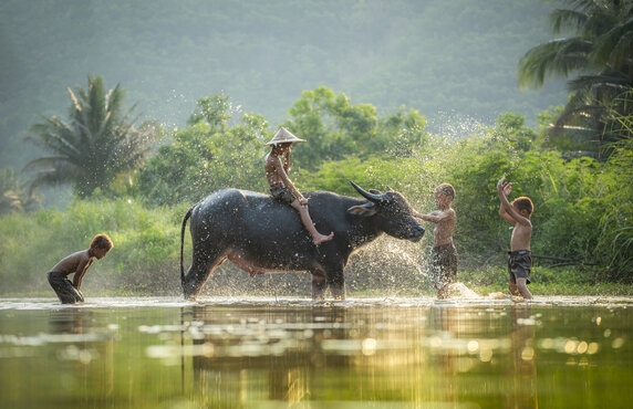 Une Journée à Mai Chau, Vietnam: Que Faire Et Que Voir à Mai Chau En 1 Jour ? Une Journée à Mai Chau, Vietnam: Que Faire Et Que Voir à Mai Chau En 1 Jour ?