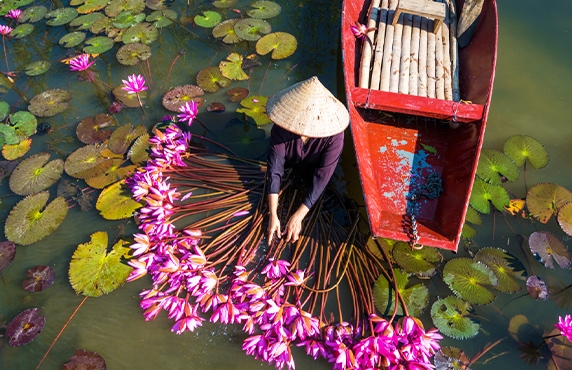 Les 10 Meilleurs Choses à Faire à Ninh Binh, Vietnam Les 10 Meilleurs Choses à Faire à Ninh Binh, Vietnam