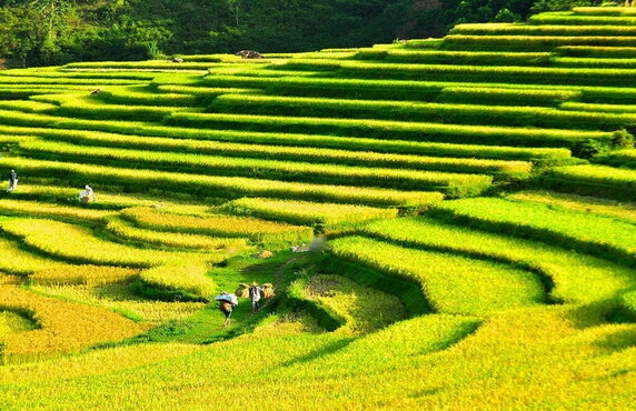 Que Faire à Pu Luong Vietnam En 2 Jours? Itinéraire Pu Luong 2 Jours Que Faire à Pu Luong Vietnam En 2 Jours? Itinéraire Pu Luong 2 Jours