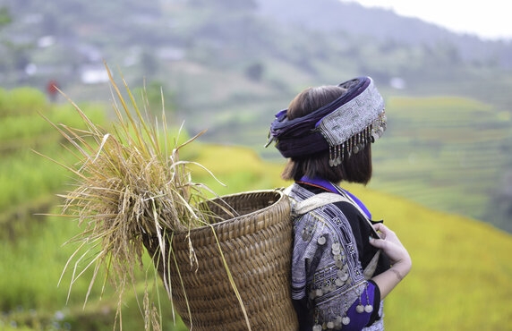 Découvrez L’ethnie Thaï Noir à Pu Luong, Vietnam Découvrez L’ethnie Thaï Noir à Pu Luong, Vietnam
