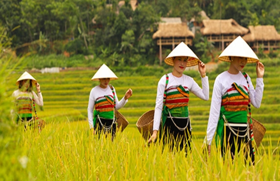 Explorez Le Village De Kho Muong : Un Joyau Naturel à Pu Luong, Vietnam Explorez Le Village De Kho Muong : Un Joyau Naturel à Pu Luong, Vietnam