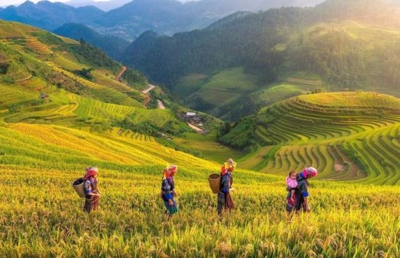 Avis Sur L'itinéraire 2 Jours à Yen Bai Au Nord Du Vietnam Par M. Opée Avis Sur L'itinéraire 2 Jours à Yen Bai Au Nord Du Vietnam Par M. Opée