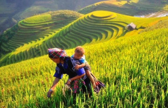 Que Faire à Yen Bai 3 Jours? Avis D’itinéraire Nord Vietnam De M. Mike Que Faire à Yen Bai 3 Jours? Avis D’itinéraire Nord Vietnam De M. Mike